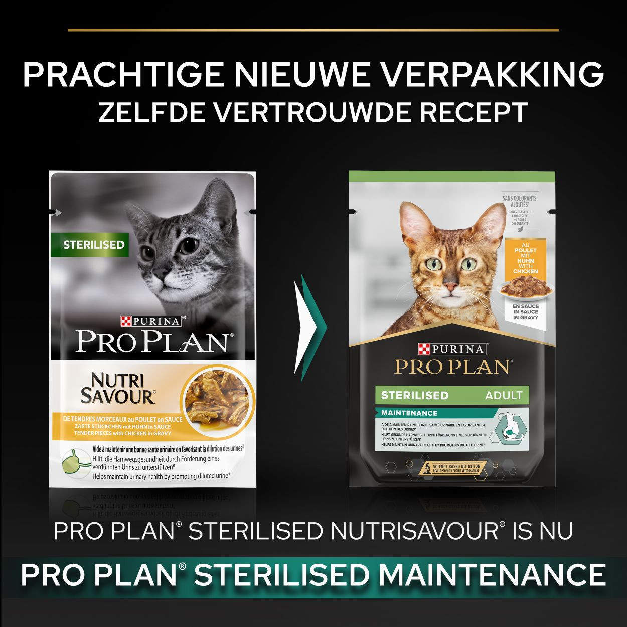 Pro Plan Sterilised Nutrisavour met kip natvoer kat (10 x 85 g)