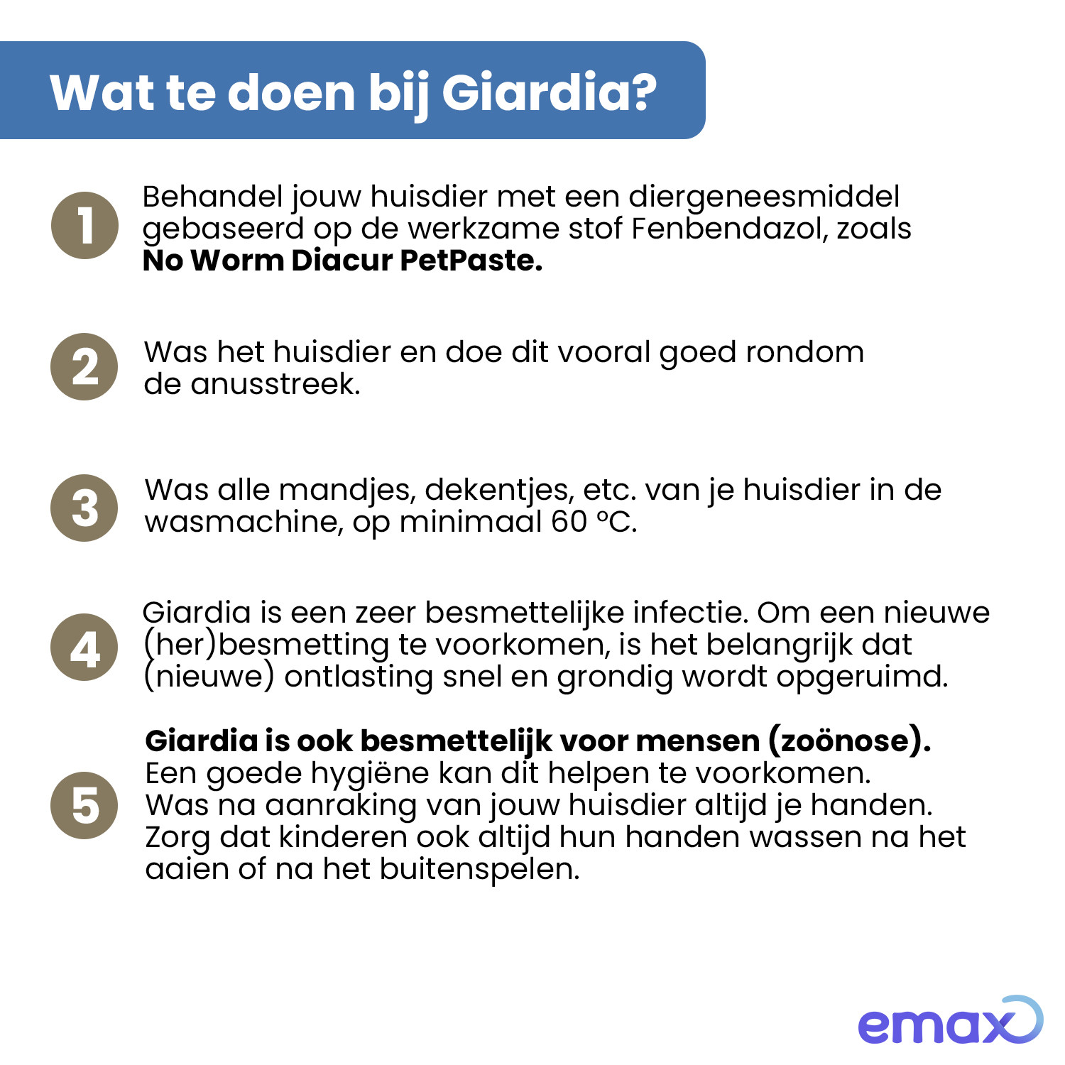 No Worm Diacur Giardiatest voor hond en kat