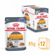 Royal Canin Hair & Skin Care in jelly natvoer kat (12x85 g)