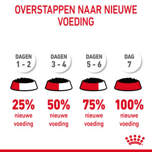 Royal Canin Hair & Skin Care in jelly natvoer kat (12x85 g)