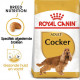 Royal Canin Adult Cocker Spaniel hondenvoer