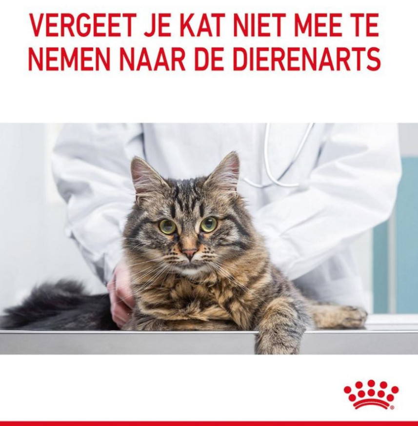 Royal Canin Light Weight Care in gravy natvoer kat