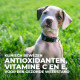 Hill's Puppy Medium met lam & rijst hondenvoer
