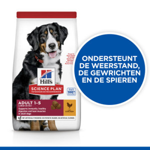 Hill's Adult Large Breed met kip hondenvoer