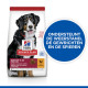Hill's Adult Large Breed met kip hondenvoer