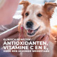 Hill's Adult Large Breed met kip hondenvoer