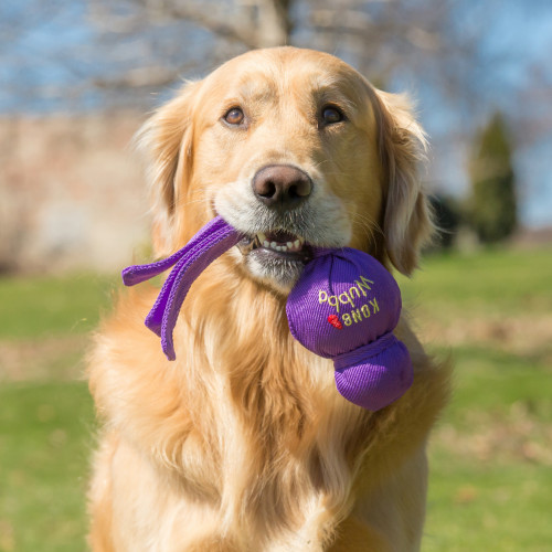 Kong Wubba L voor de hond