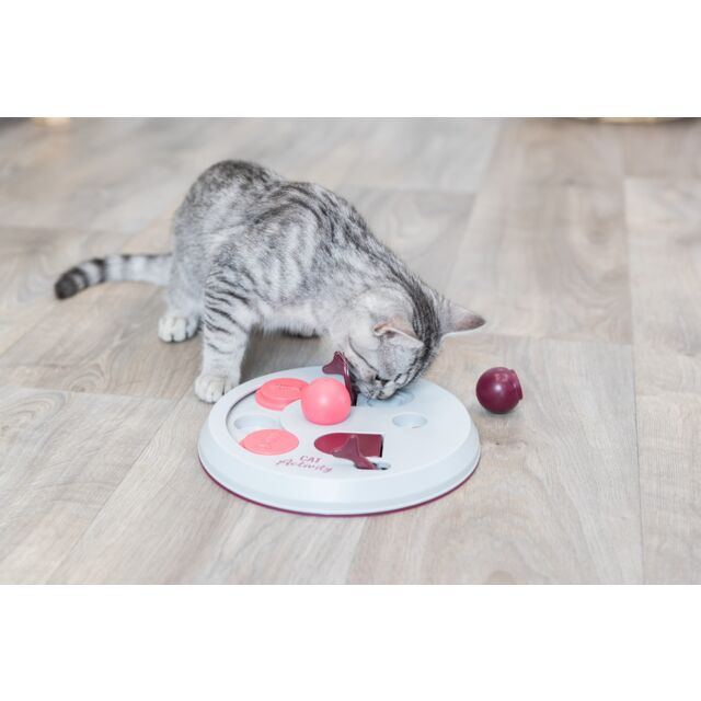 Cat Activity Flip Board voor de kat Ruim assortiment