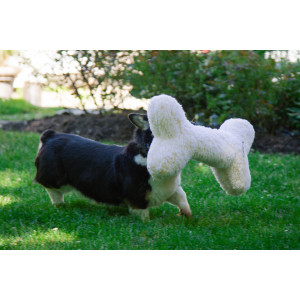 Hugglehounds Fleece bot - speelgoed voor de hond - zonder pieper -