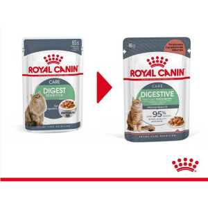 Royal Canin Digestive Care in saus natvoer kat (85 g)