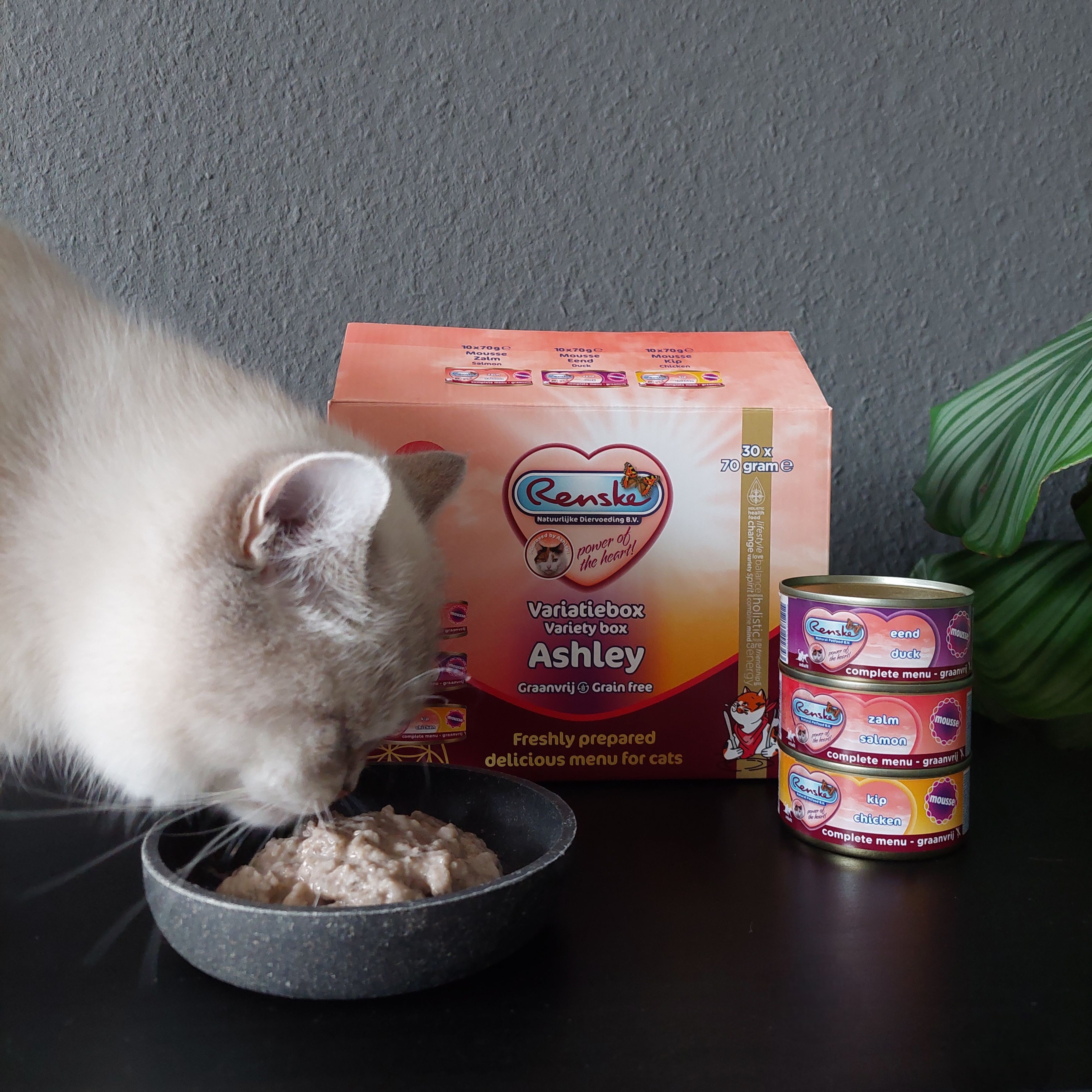 Renske Variatiebox Ashley mousse kattenvoer (30x70g)