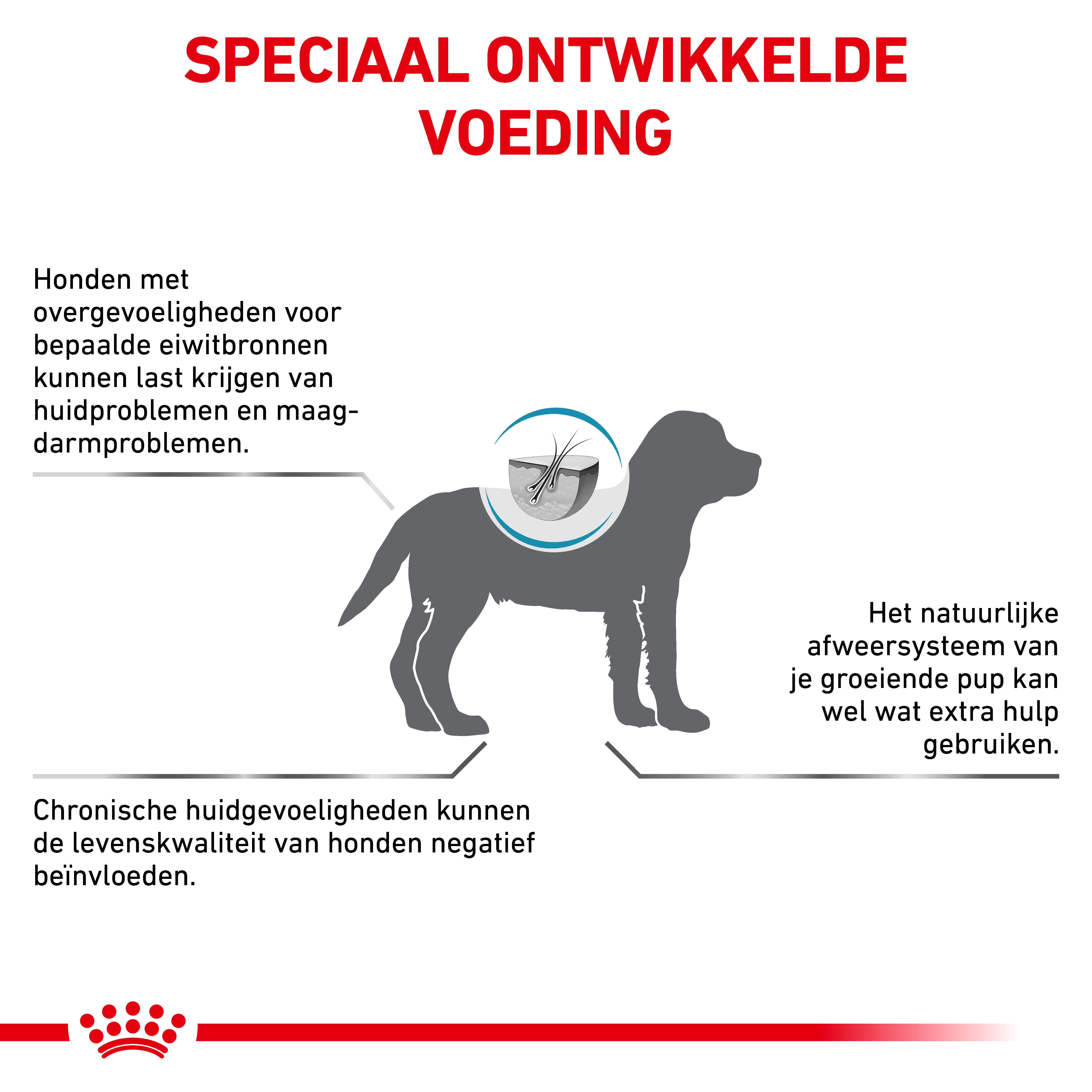 Royal Canin Hypoallergenic Puppy hondenvoer
