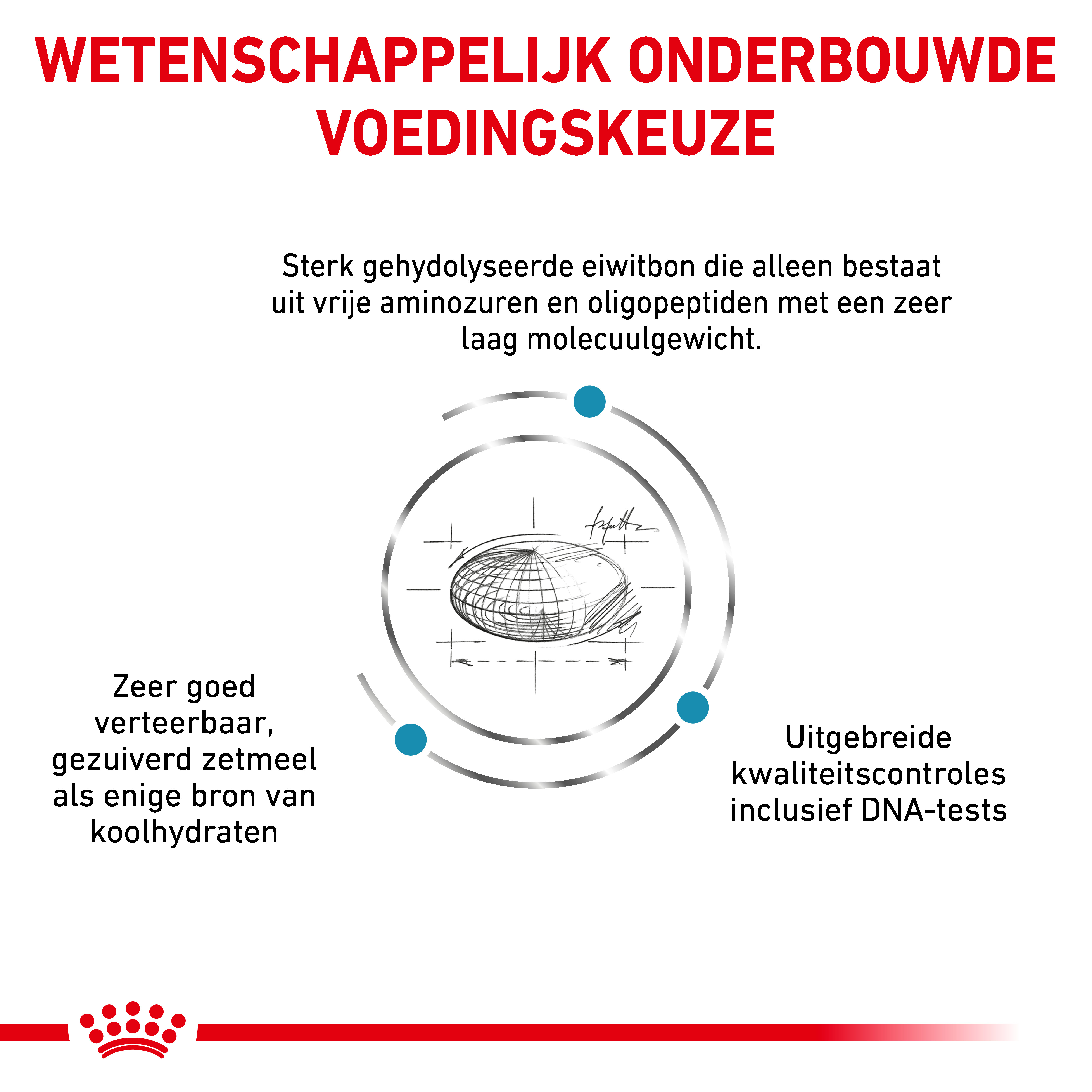 Royal Canin Veterinary Anallergenic Small Dogs hondenvoer