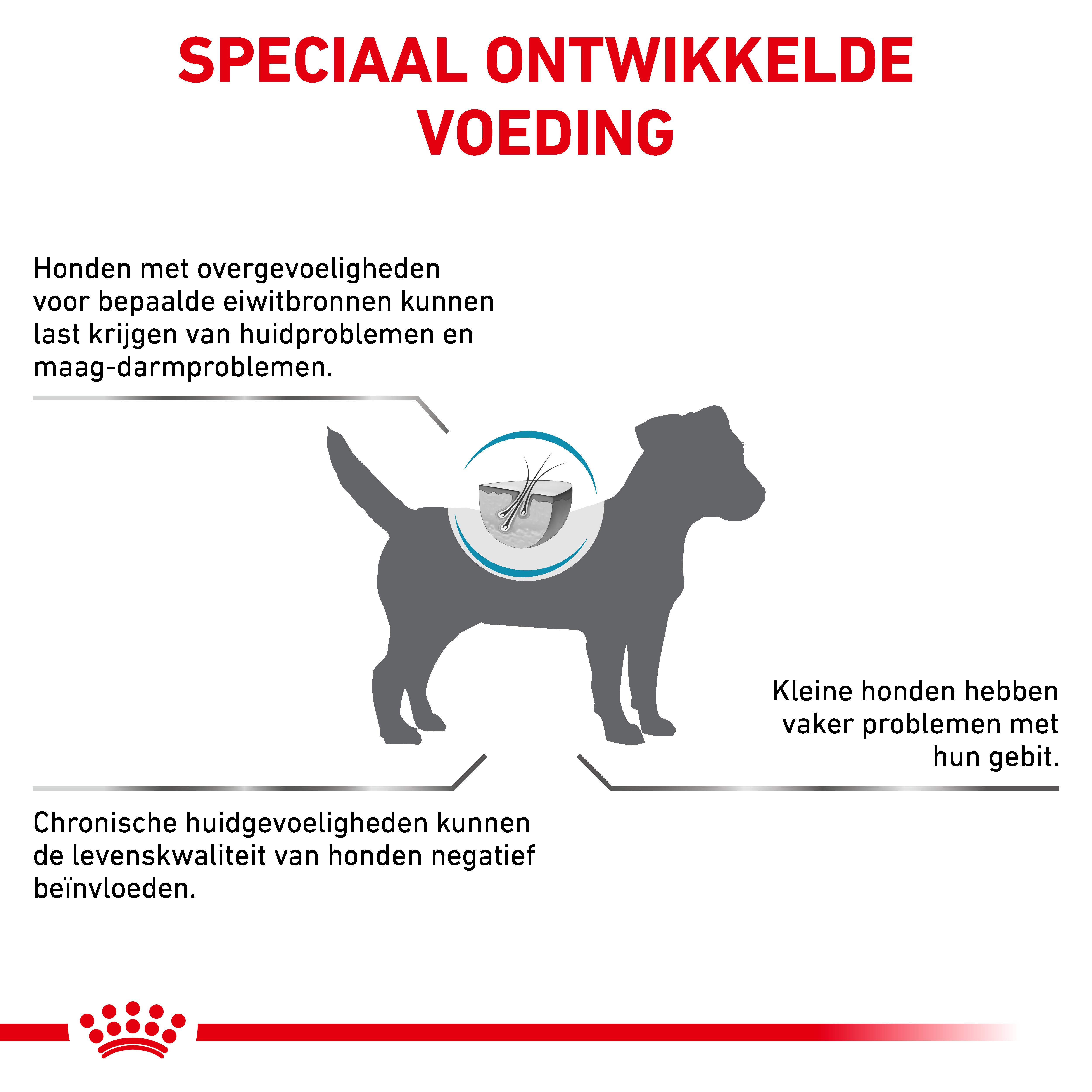 Royal Canin Veterinary Anallergenic Small Dogs hondenvoer