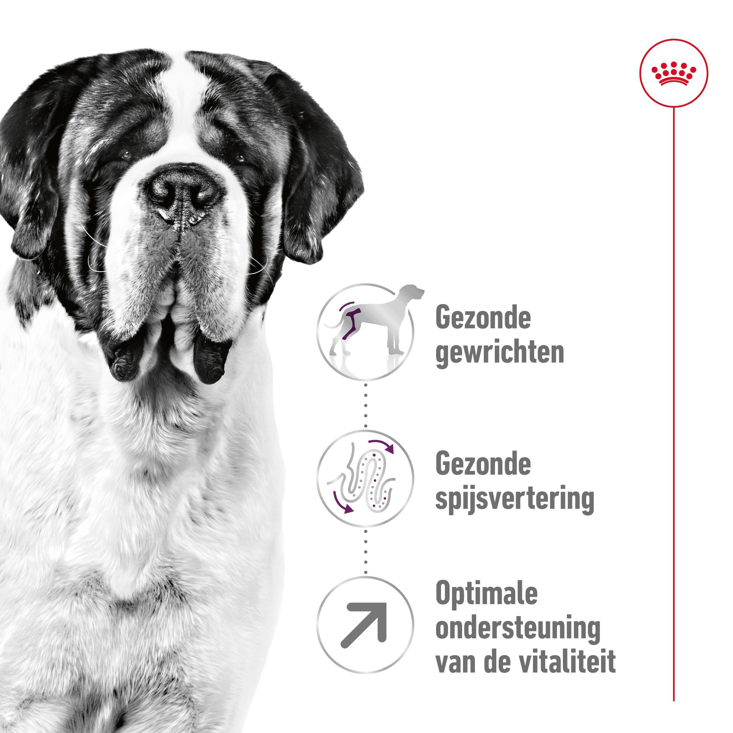 Royal Canin Giant Adult hondenvoer