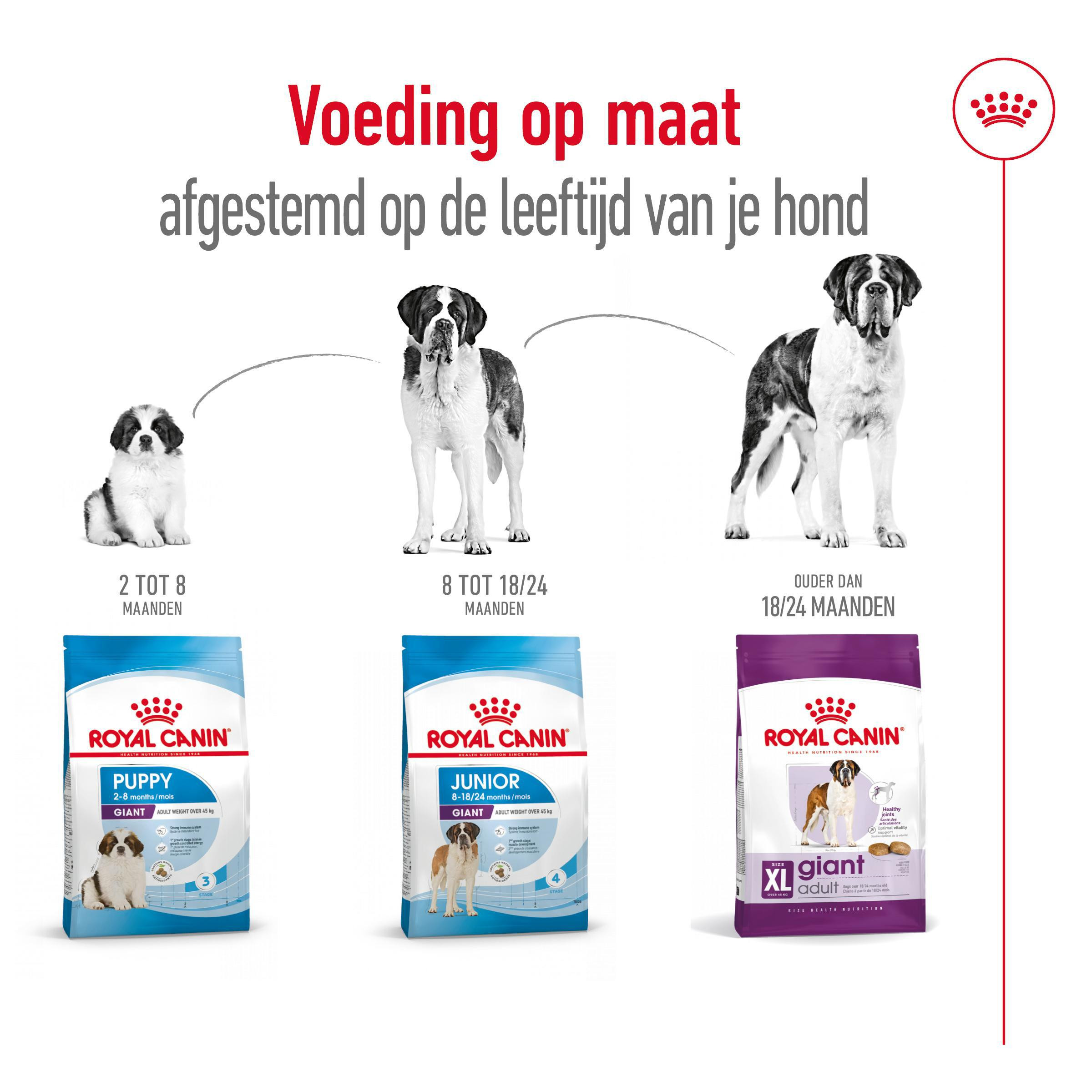 Royal Canin Giant Adult hondenvoer