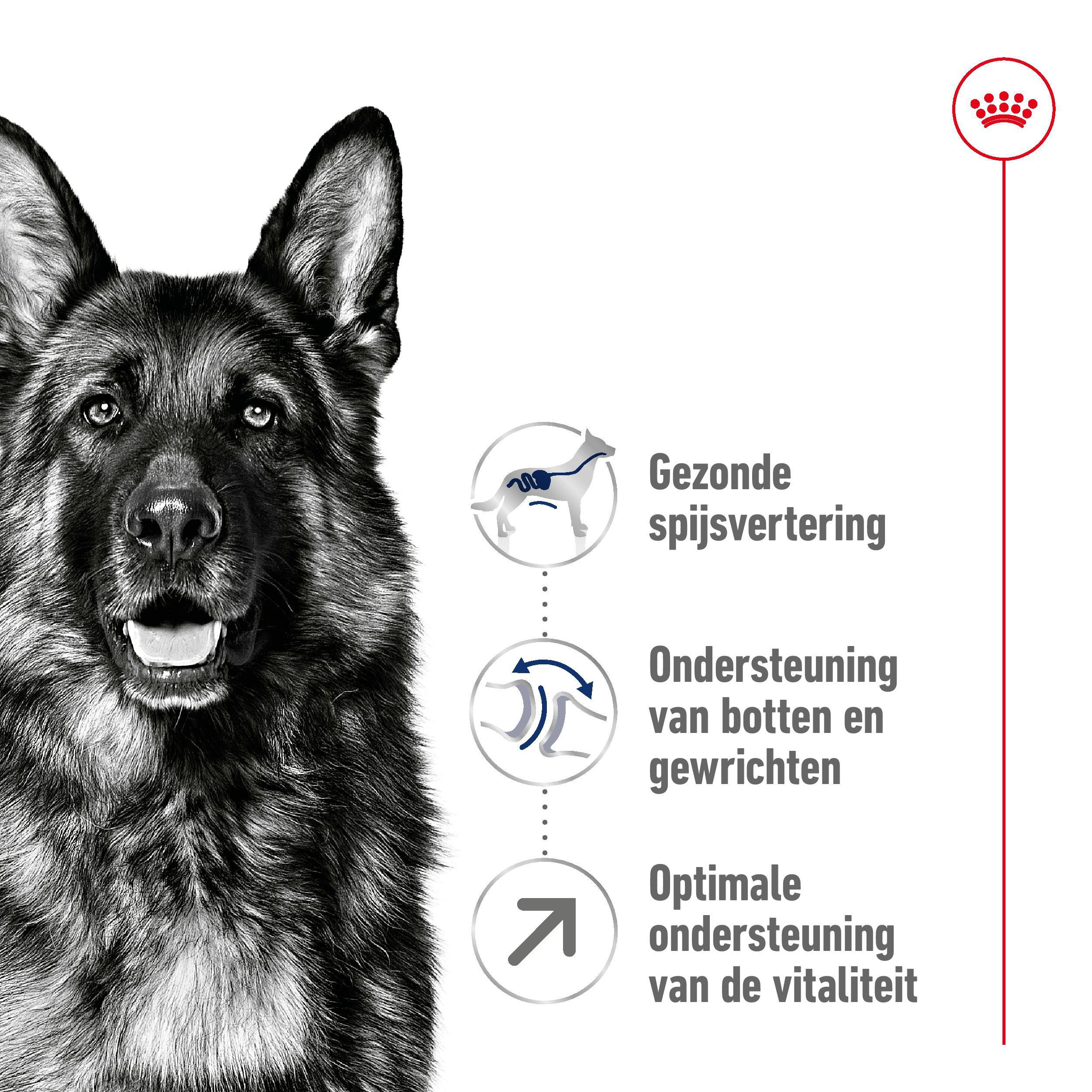 Royal Canin Maxi Adult 5+ Hondenvoer