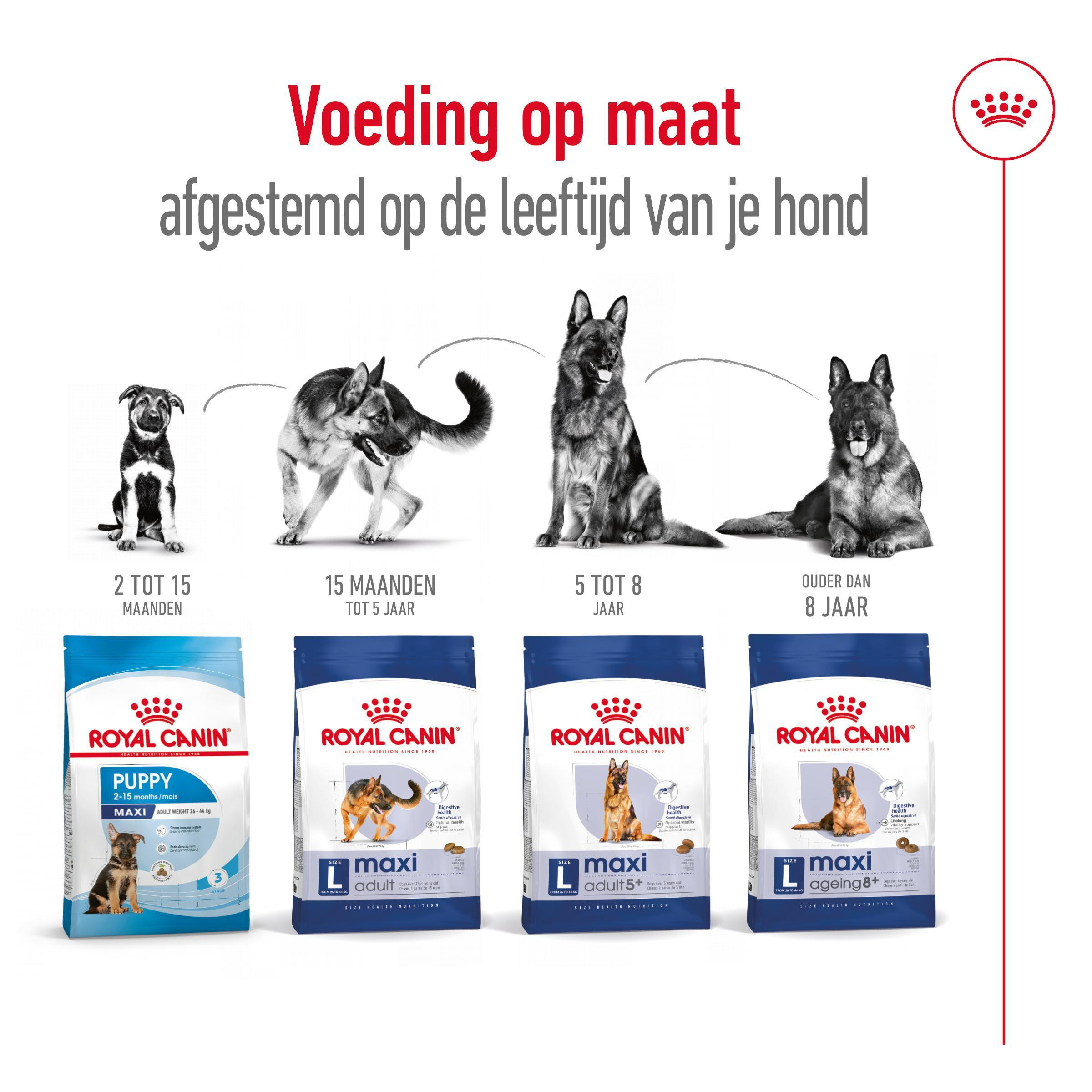 Royal Canin Maxi Adult 5+ Hondenvoer