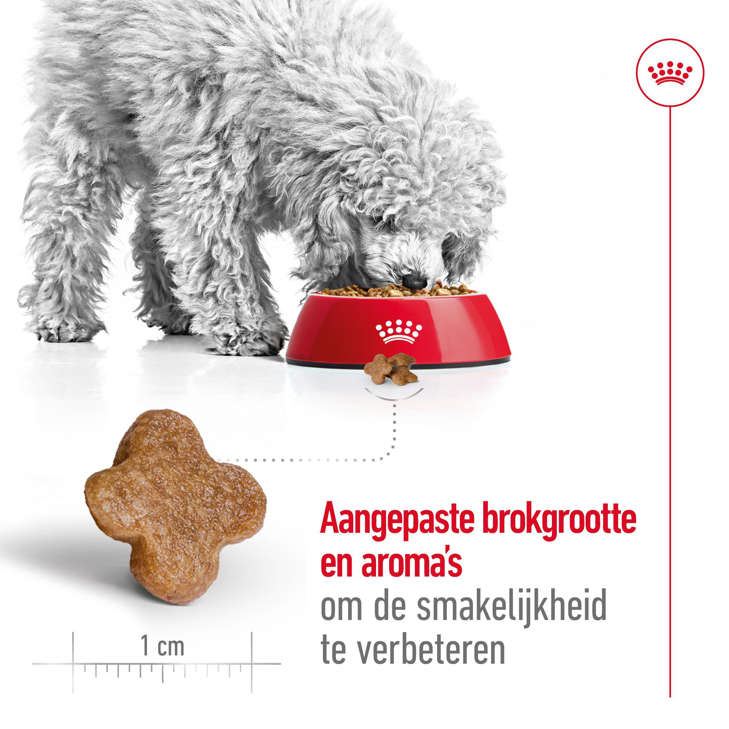 Royal Canin Mini Adult 8+ hondenvoer