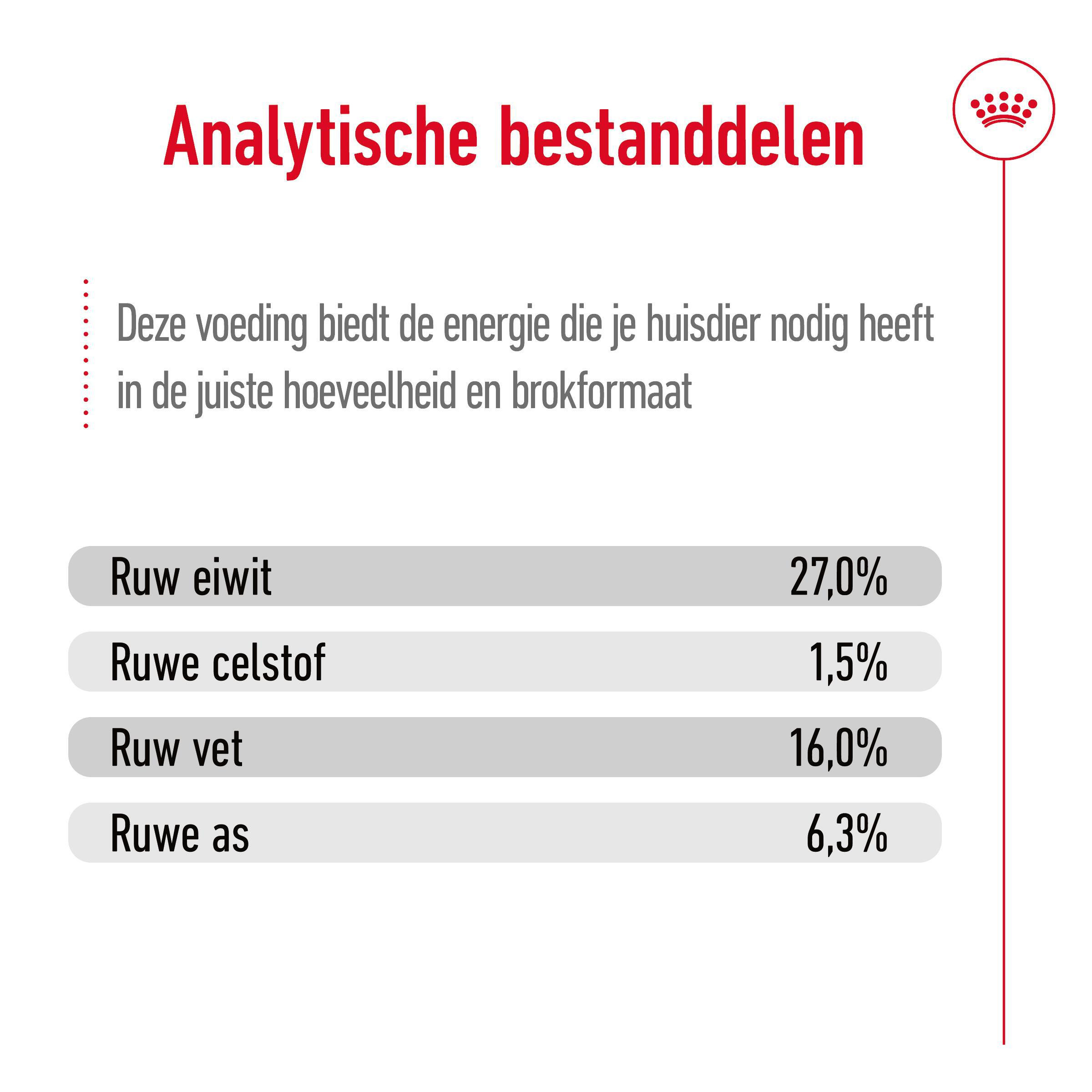 Royal Canin Mini Adult 8+ hondenvoer