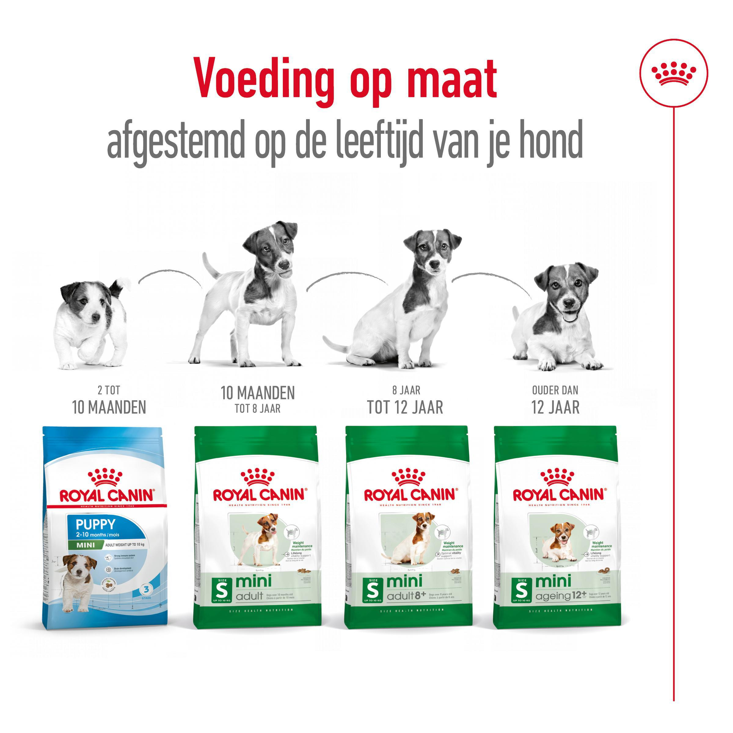 Royal Canin Mini Ageing 12+ hondenvoer