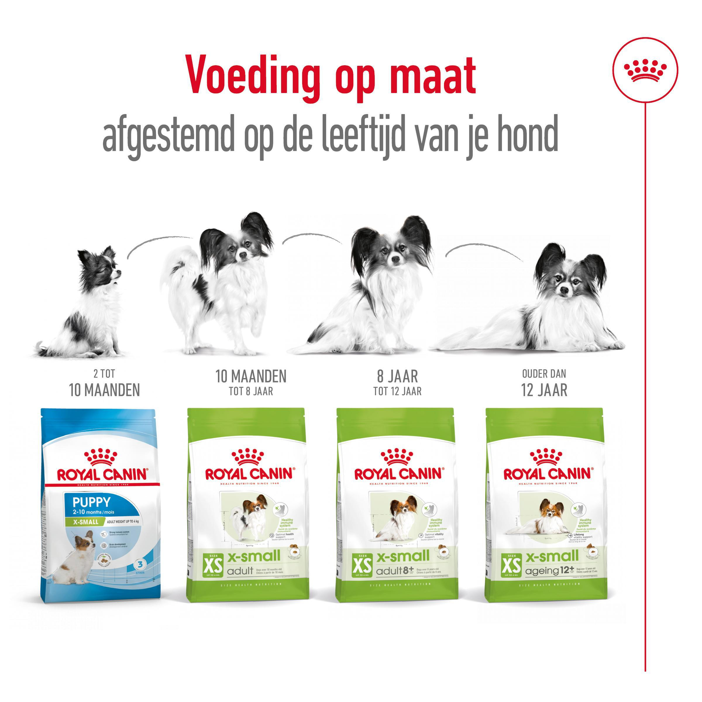 Royal Canin X-Small Adult 8+ hondenvoer