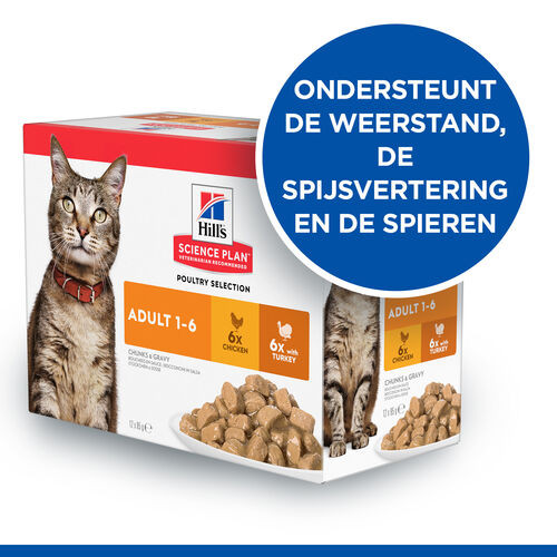 Hill's Adult Poultry Selection combipack kip & met kalkoen nat kattenvoer