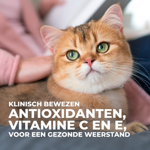 Hill's Sterilised Adult Kattenvoer 