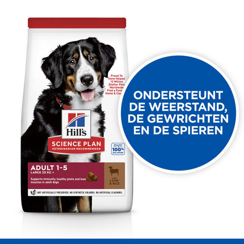 Hill's Largebreed Lam & Rijst Hondenvoer