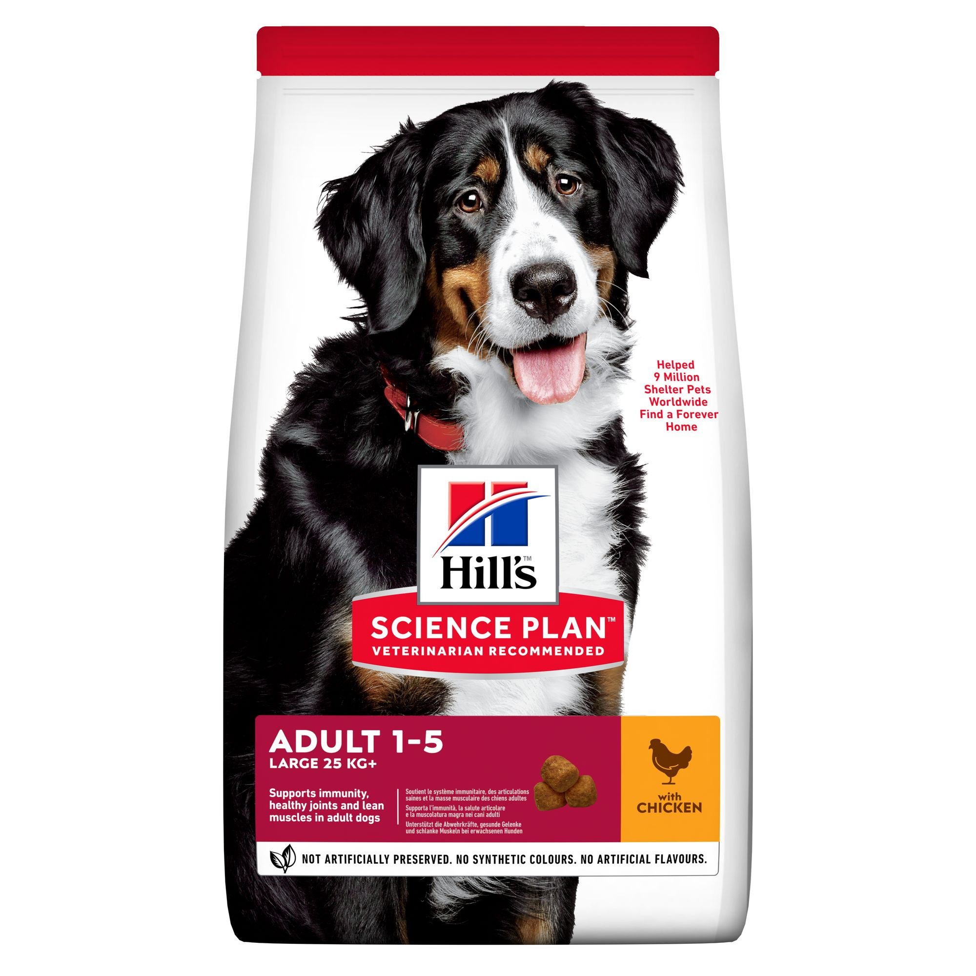 Hill's Adult Largebreed Kip hondenvoer
