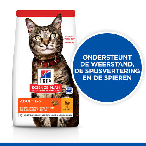 Hill's Adult met kip kattenvoer