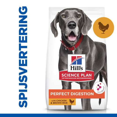 Hill's Adult Perfect Digestion Large met kip & bruine rijst hondenvoer