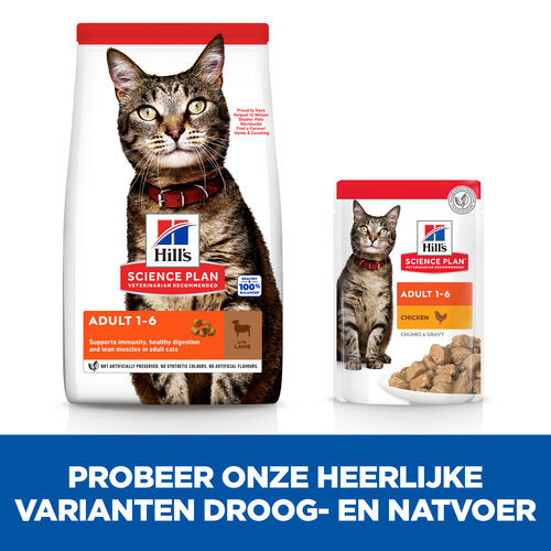 Hill's Optimal Care Adult Lam Kattenvoer