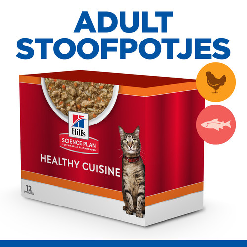Hill's Healthy Cuisine Adult stoofpotje met kip & groenten, met zalm & groenten multipack kat