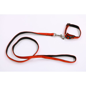 Nylon halsband gevoerd met looplijn 15 mm x 120 cm Fuchsia