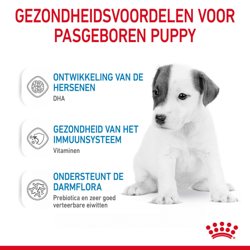 Royal Canin Babydog milk 1st Age 