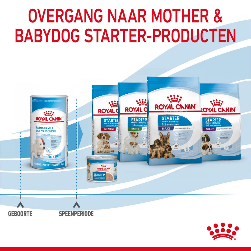 Royal Canin Babydog milk 1st Age 