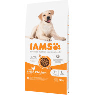Iams Adult Large met kip hondenvoer 2 x 12 kg