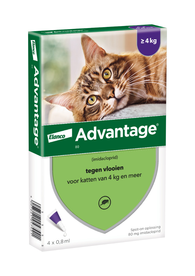 Advantage Nr. 80, Vlooienmiddel (vanaf 4kg) kat