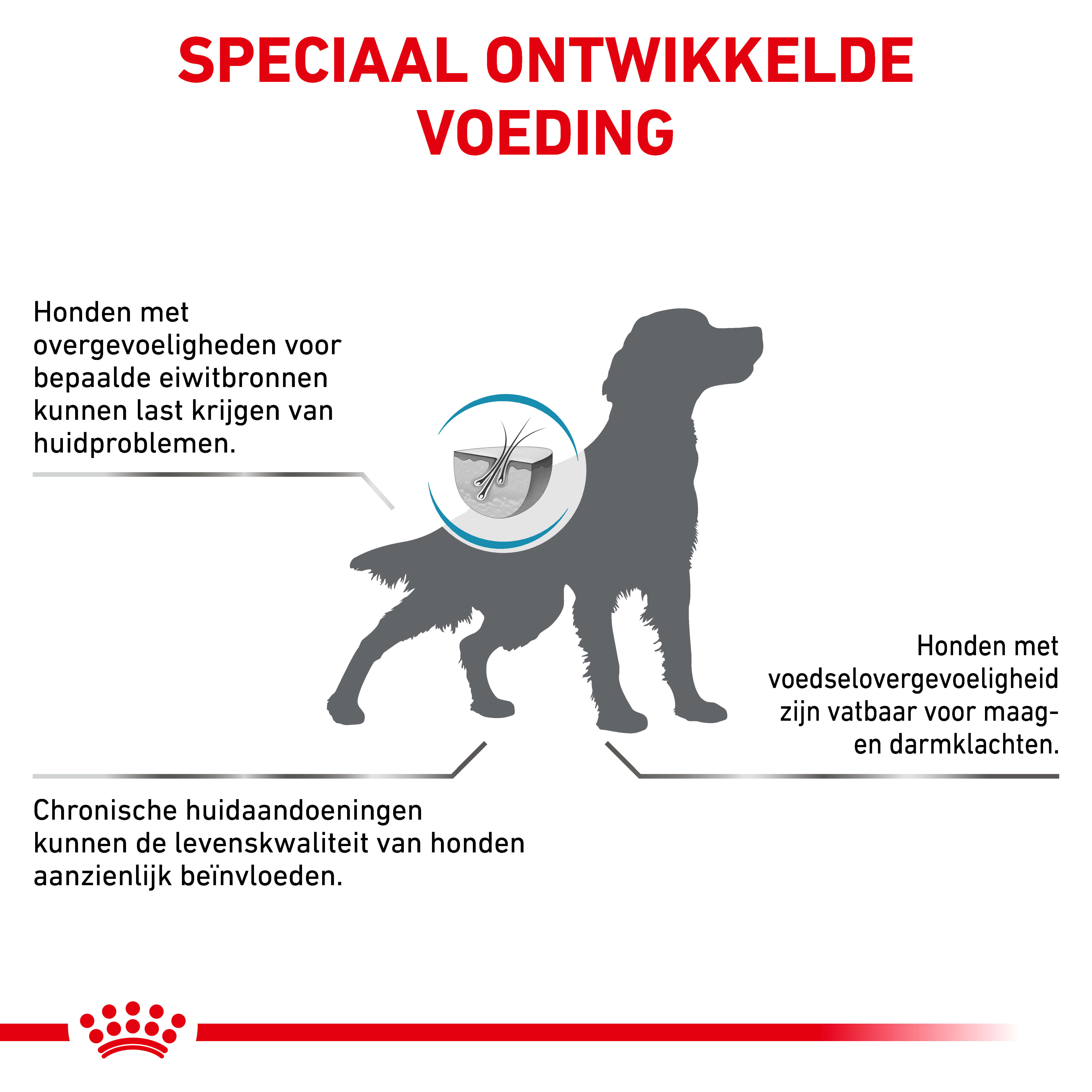Royal Canin Anallergenic hondenvoer