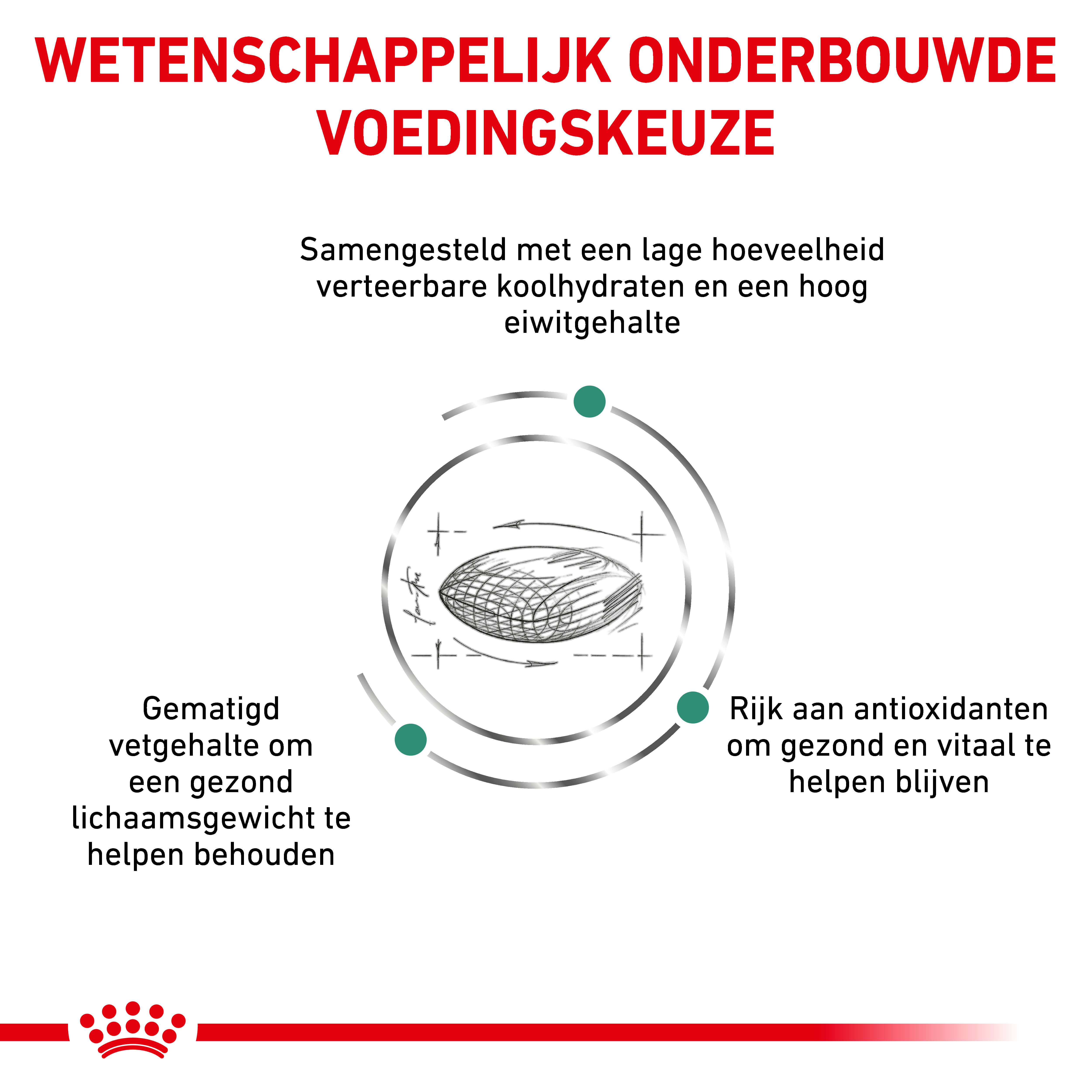 Royal Canin Veterinary Diabetic hondenvoer