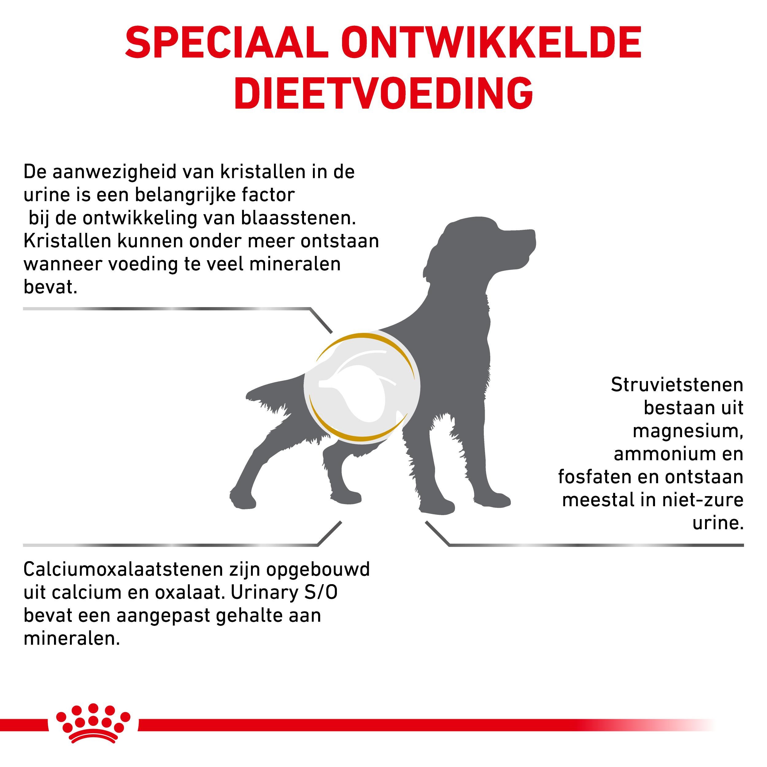 Royal Canin Veterinary Urinary S/O hondenvoer