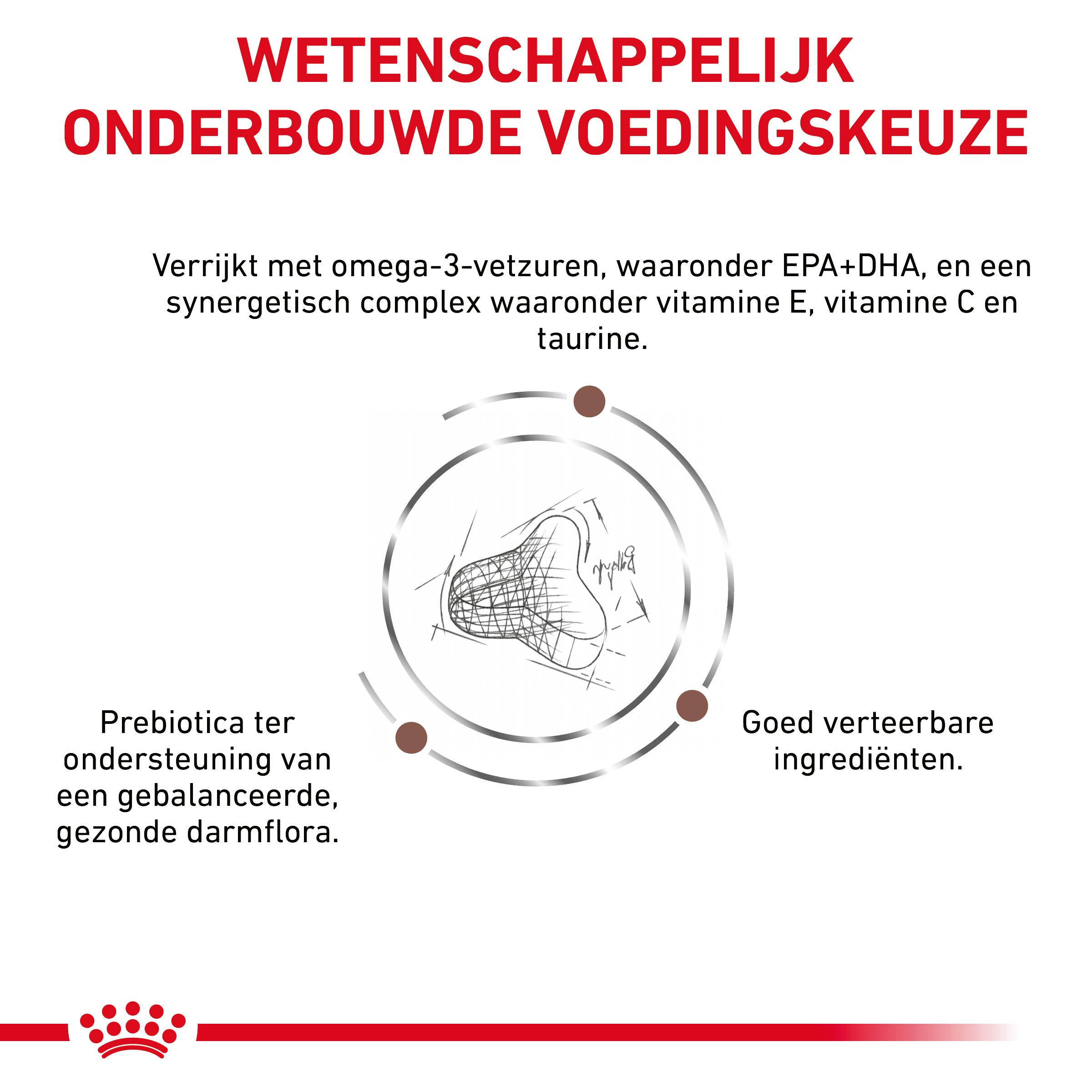 Royal Canin Expert Gastrointestinal Fibre Response kattenvoer