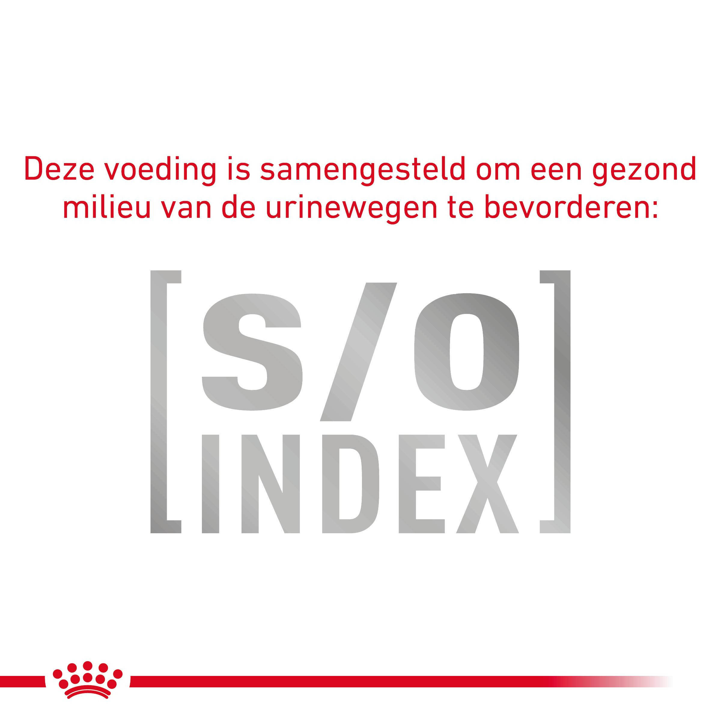 Royal Canin Veterinary Diet Gastro Intestinal Moderate Calorie kattenvoer