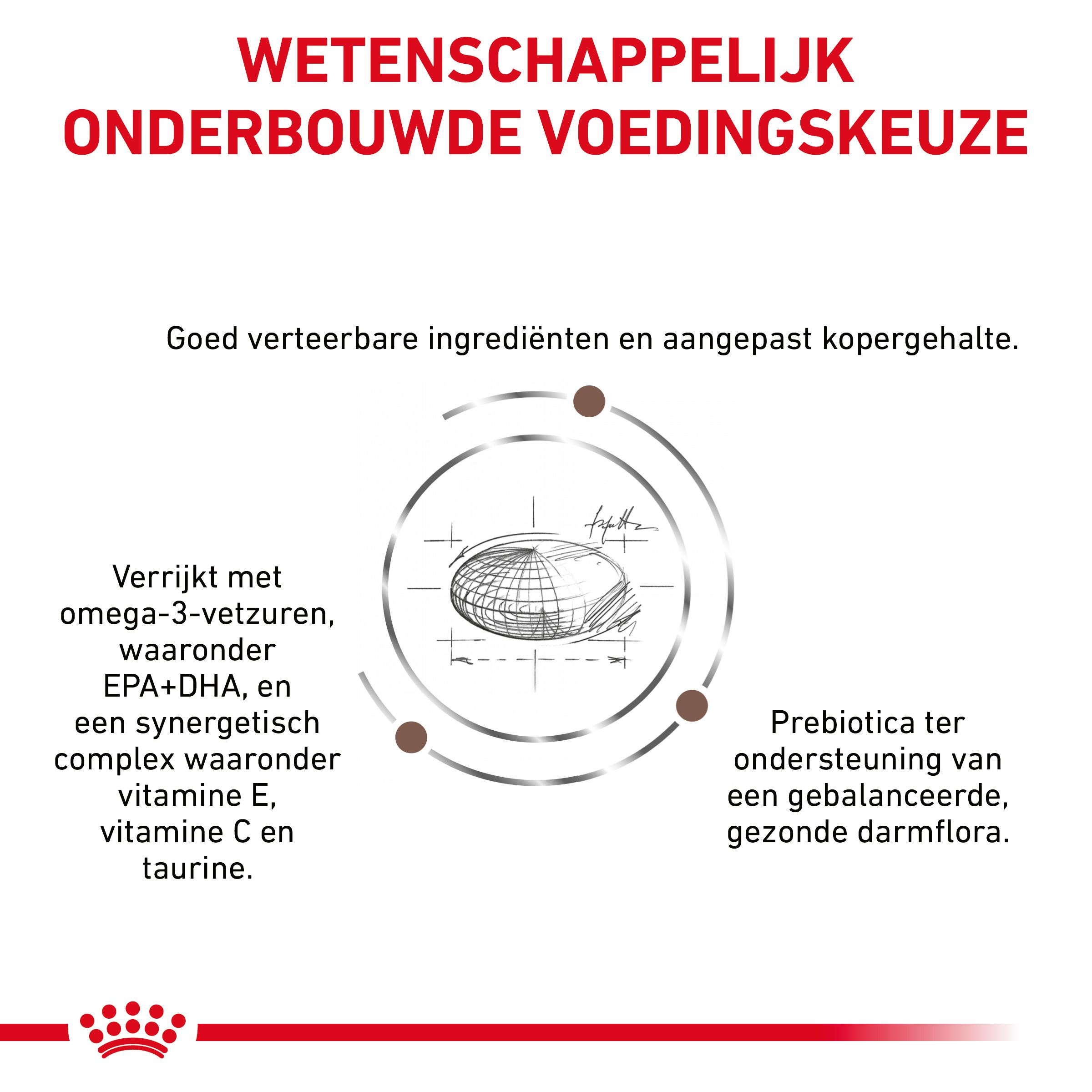 Royal Canin Veterinary Diet Hepatic kattenvoer