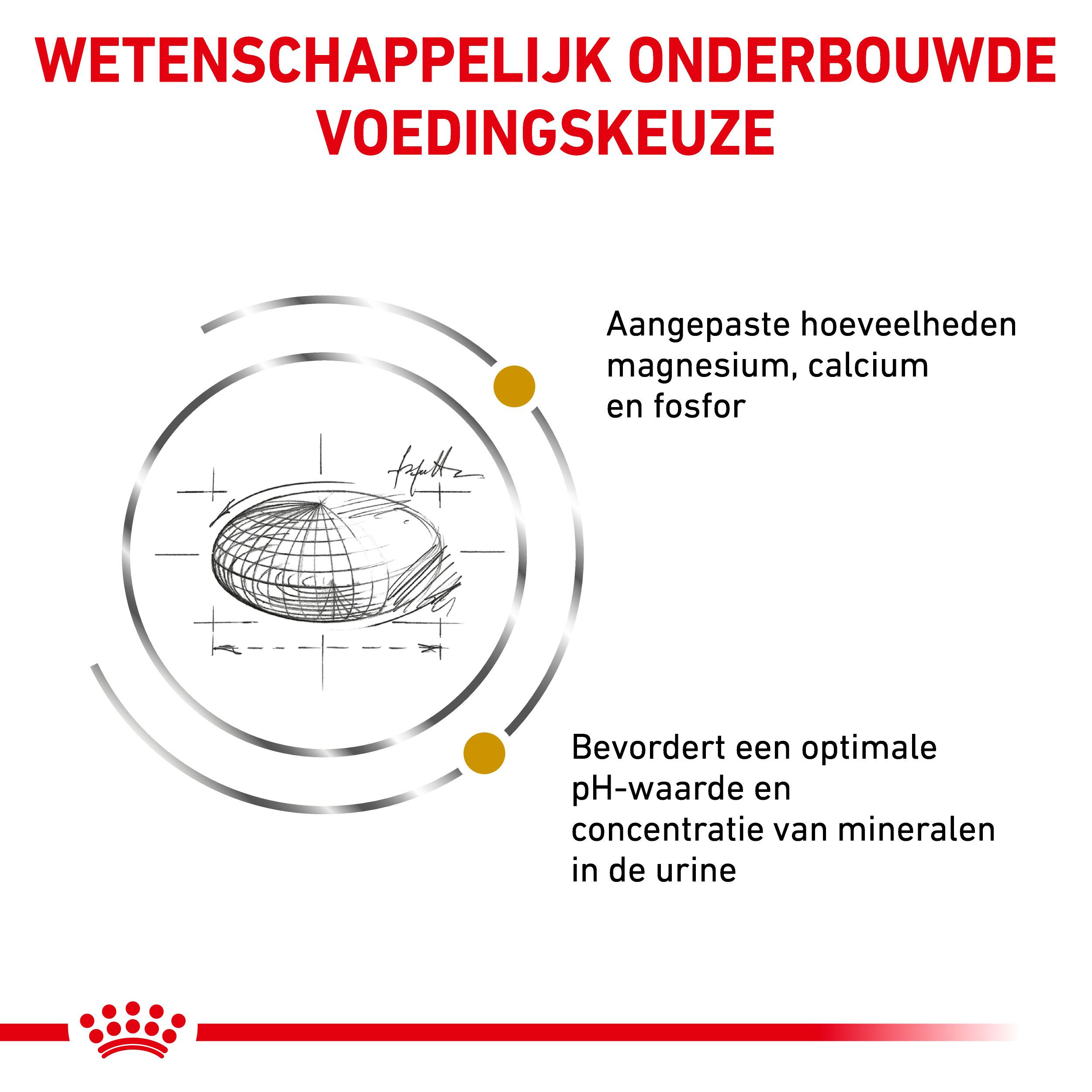 Royal Canin Urinary S/O kattenvoer
