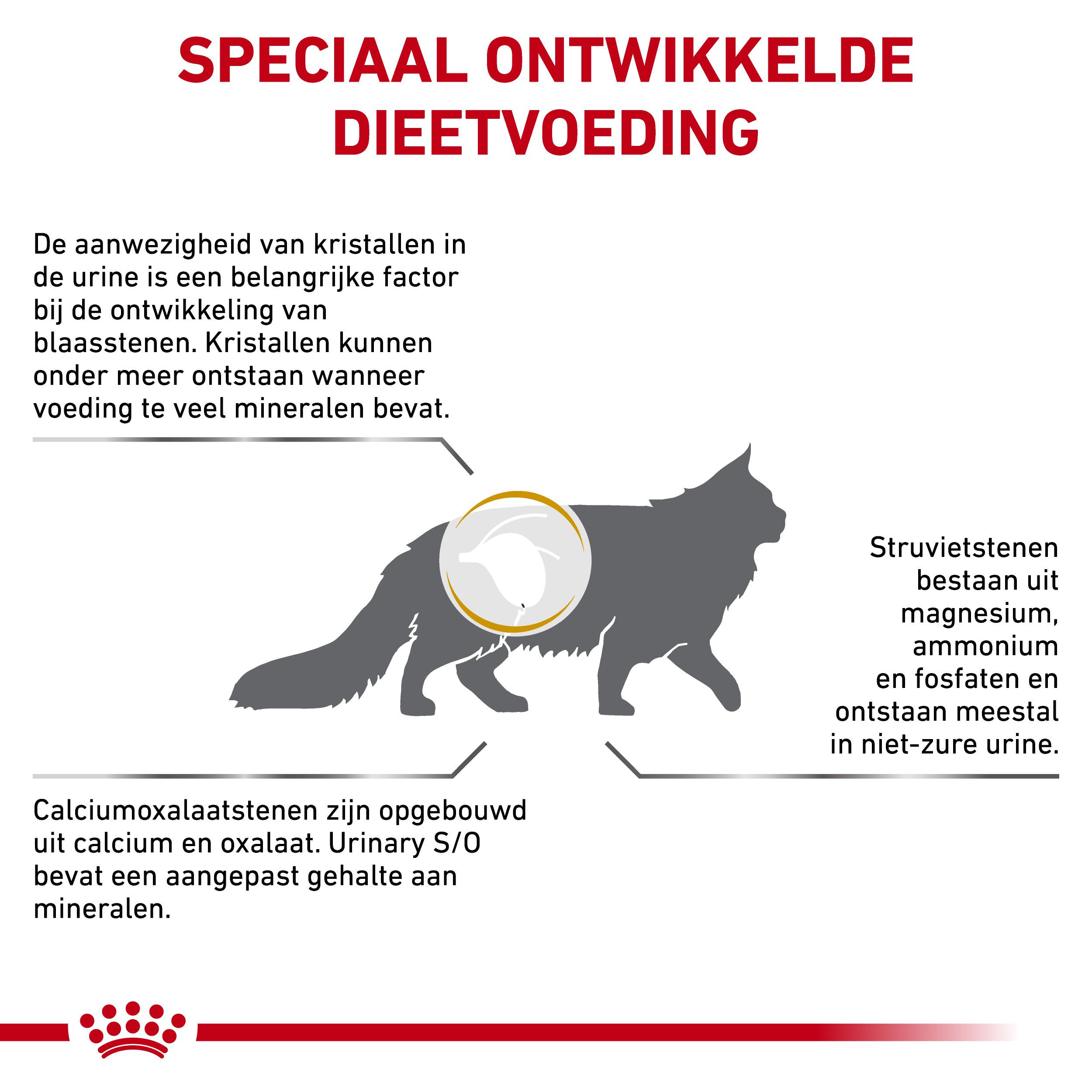 Royal Canin Urinary S/O kattenvoer