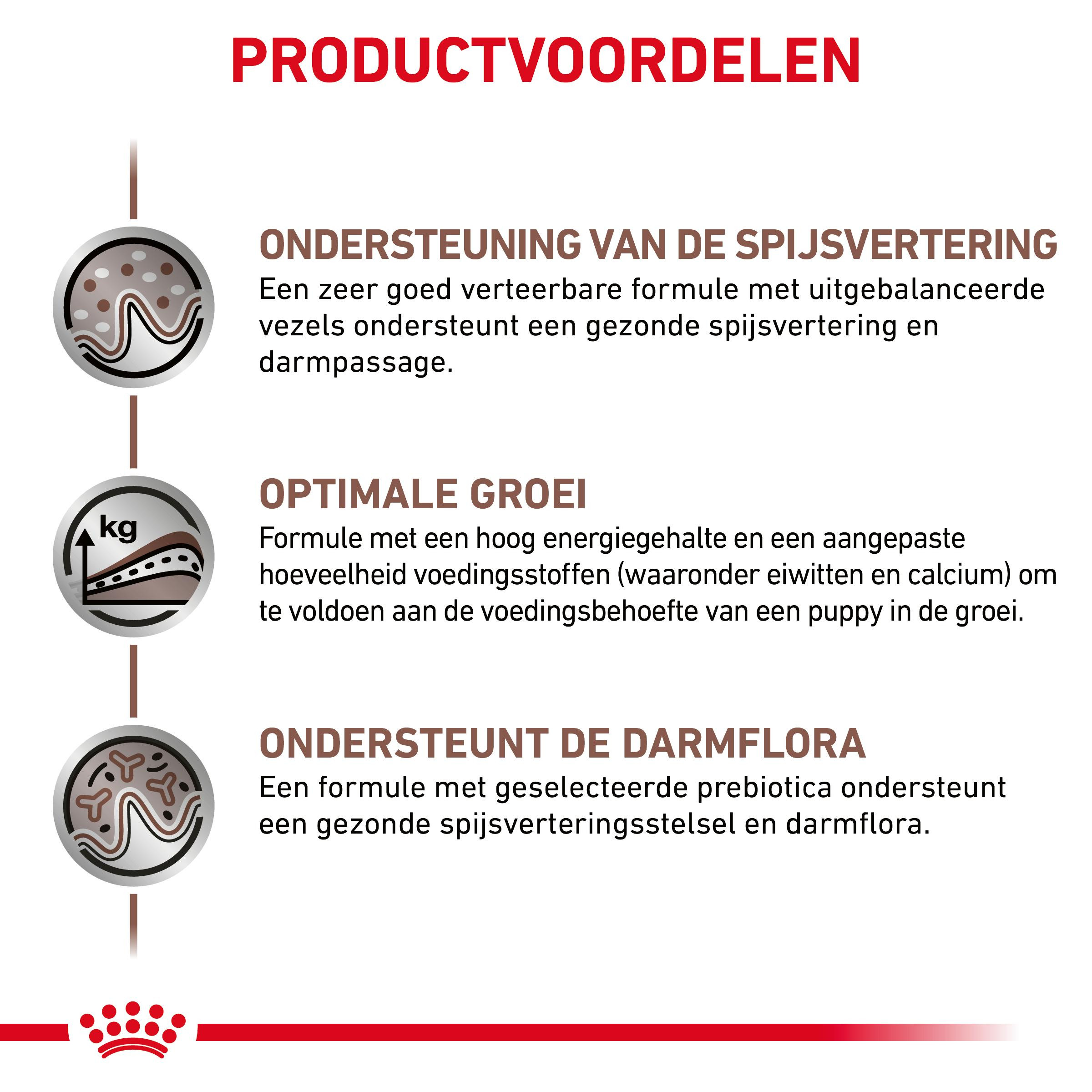Royal Canin Veterinary Gastro intestinal puppy nat hondenvoer 195 gram