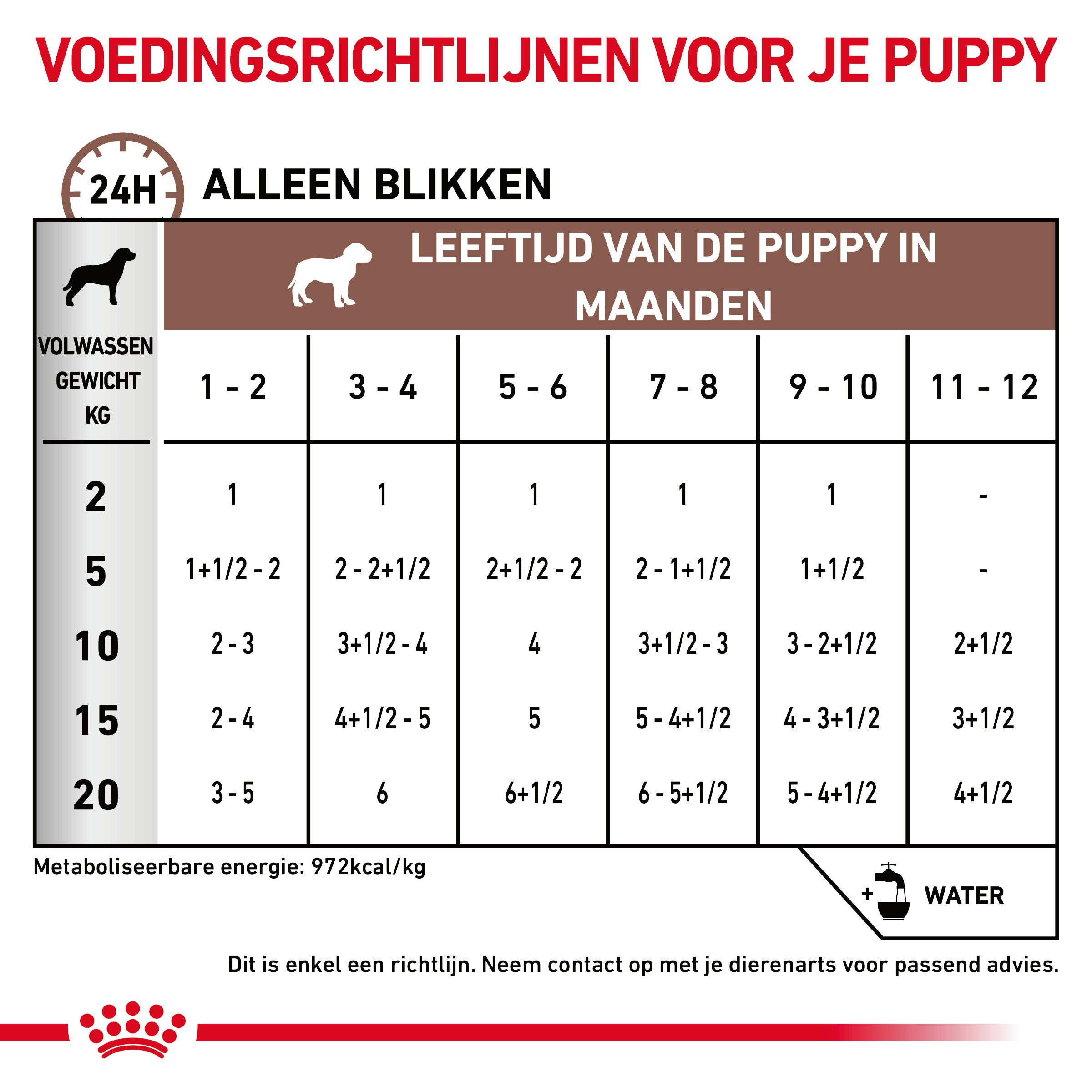 Royal Canin Veterinary Gastro intestinal puppy nat hondenvoer 195 gram