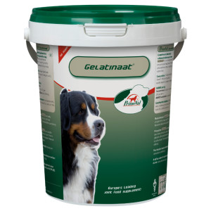 Primeval Gelatinaat voor de hond 2 x 2 kg afbeelding